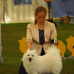 Mit Kiki (Japanspitz) im Ring, Jettingen DE 2015