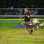 Mit Hijab (Saluki) im Ring, Lotzwil CH 2014