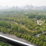Der Blick aus unserer neuen Wohnung in Pudong.