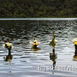 Opfer der Mayas in der Laguna di Chichabal