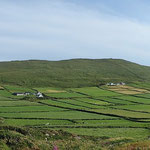 typisch irische Landschaft