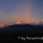 Chimborazo im Abendlicht