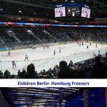 Andrea Weinke-Lau Eishockey Eisbären Berlin gegen Hamburg Freezers 4:7