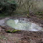 Pond being filled by spring