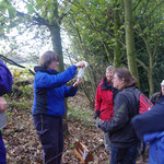 November 2011 Mammal Survey