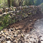 Tidy up over outlet & boggy area by wall