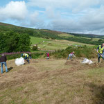 Raking grass up from wildflower meadow at picnic site 18/08/2019