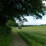 Mowing Gillfield Wood at the back