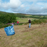 Raking grass up from wildflower meadow at picnic site 18/08/2019