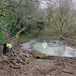 Finished pond & dry stonewalling