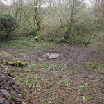 Pond site cleared ready for digger