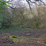 Proposed pond site, initial preparation