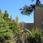Chinesischer Garten an der Busines School