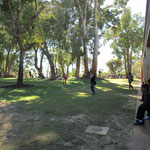 Bush Court der Murdoch University
