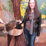Bushtail possum