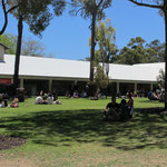 Bush Court