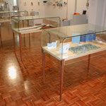NRG display tables 2003