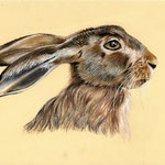 Hase, Pastell (verkauft/ sold)