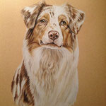 Maddie, Pastell (Auftragsarbeit)