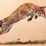 Fuchs, Pastell (verkauft/ sold)