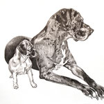 Hunde in XS und XL, Bleistift (Auftragsarbeit)