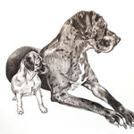 Hunde in XS und XL, Bleistift (Auftragsarbeit)