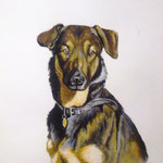 Cora, Aquarell (Auftragsarbeit)
