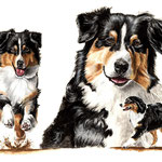 Diva, Aquarell (Auftragsarbeit)