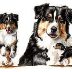 Diva, Aquarell (Auftragsarbeit)