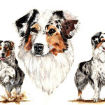 JoJo, Aquarell (Auftragsarbeit)