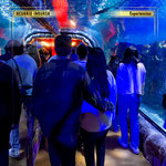 acuario inbursa, acuario en cdmx, experiencias en cdmx