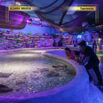 acuario inbursa, acuario en cdmx, experiencias en cdmx