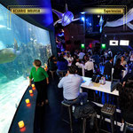 acuario inbursa, acuario en cdmx, experiencias en cdmx