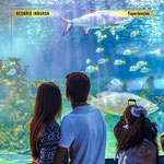 acuario inbursa, acuario en cdmx, experiencias en cdmx