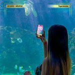 acuario inbursa, acuario en cdmx, experiencias en cdmx