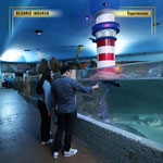 acuario inbursa, acuario en cdmx, experiencias en cdmx