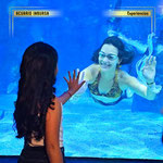 acuario inbursa, acuario en cdmx, experiencias en cdmx