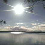 wundervolle Myallakes