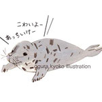 迷子のアザラシ（2020年に鳥取で保護されたアザラシのこどものニュースからイメージ）