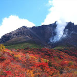 燃える山（姥ケ平  那須  １０月）富松利典