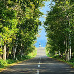 灯台への道（能取岬 北海道  ９月）富松利典