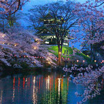 今宵も桜（上越市高田城 4月）海原茂喜