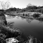 冬枯れの川（印西市神崎川  １月）不動   孝
