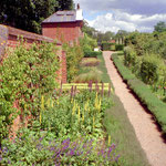 Looking east towards the greenhouse