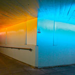 LeBo Photography