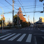 左折して東に進み、安東小交差点（左前方に安東小）を直進（安東二丁目交差点方向）