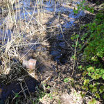 11.04.2025 Wo der Durchfluss war… jetzt muss der Bagger ran.