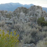 Mono Lake