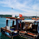 Bosphorus Cruise