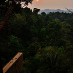 Sunset Gibbon Experience